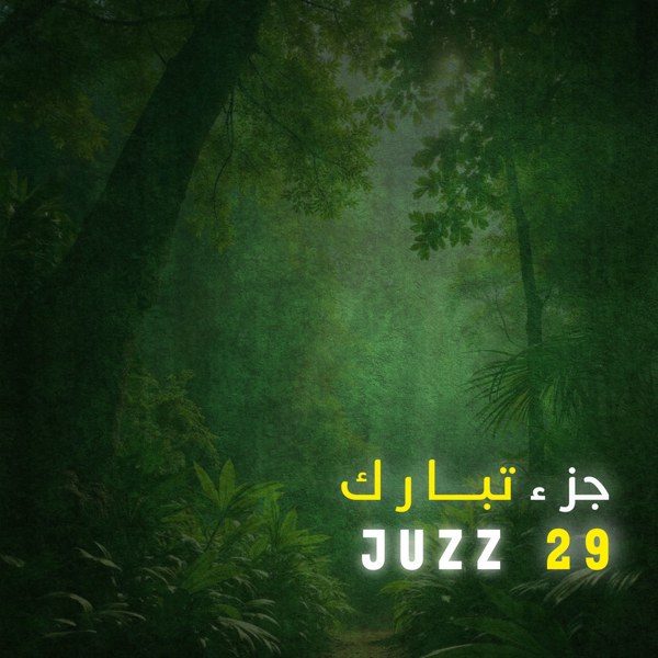 Senle Qocalmag İster (feat ai) — Nahid